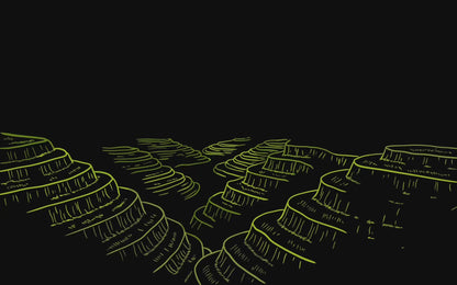 August 2026 | INDONESIA