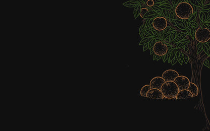 November 2026 | PALESTINE